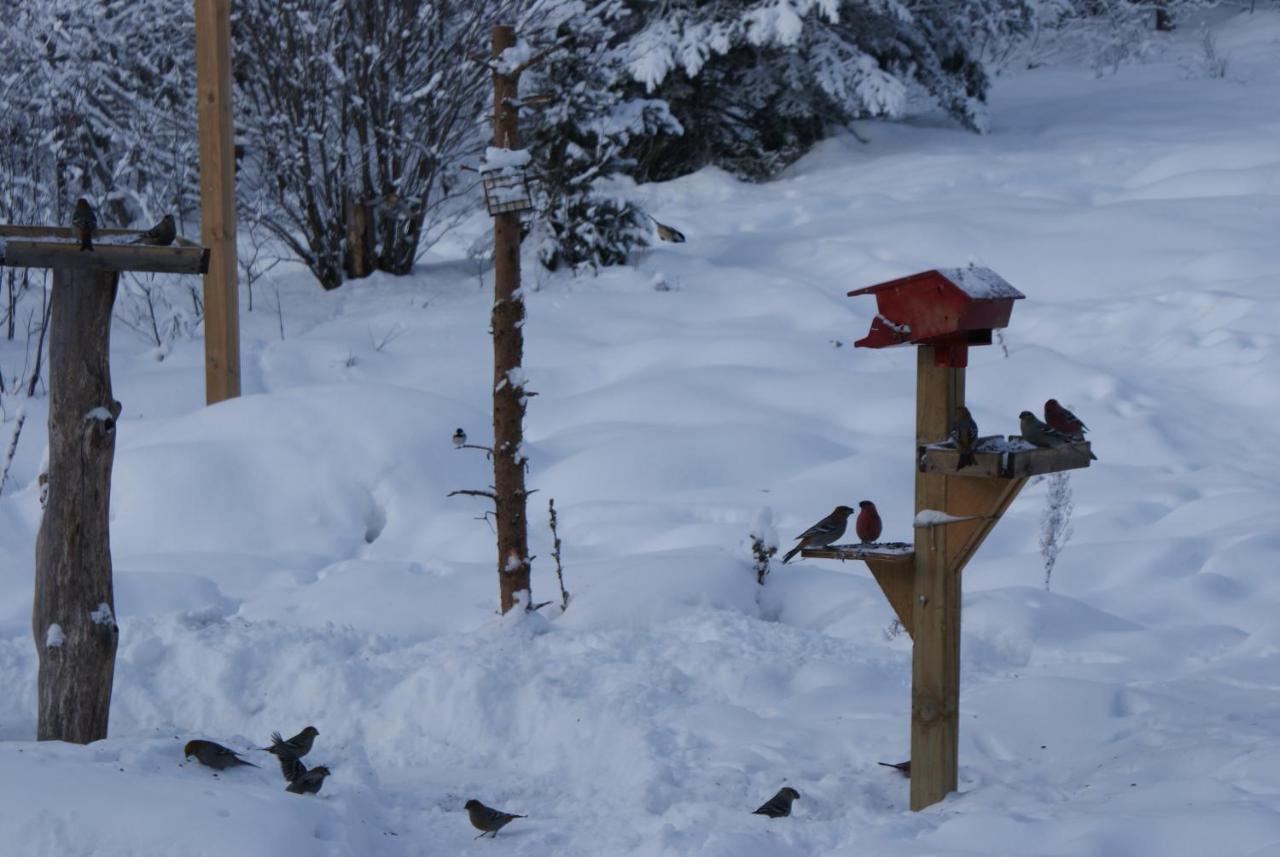 Top Of Algonquin Bed And Breakfast Mattawa Esterno foto